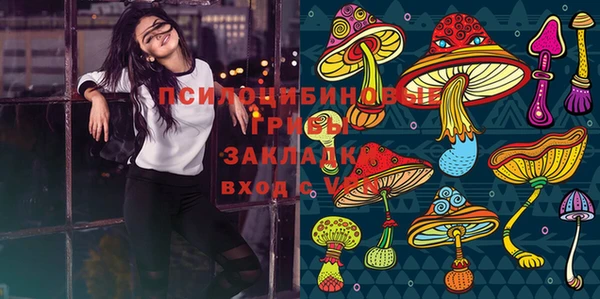 гашиш Арсеньев