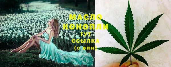 гидра Армянск